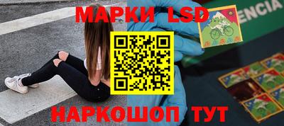 мдпв Гатчина