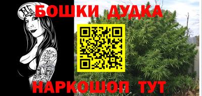 мдпв Гатчина