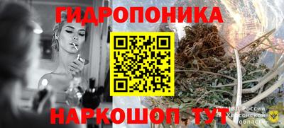 мдпв Гатчина