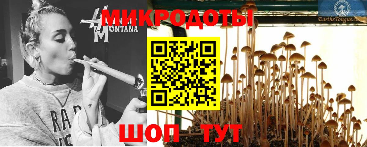 Галлюциногенные грибы MAGIC MUSHROOMS  Вход с VPN  Галлюциногенные грибы Psilocybine cubensis  Нерюнгри 