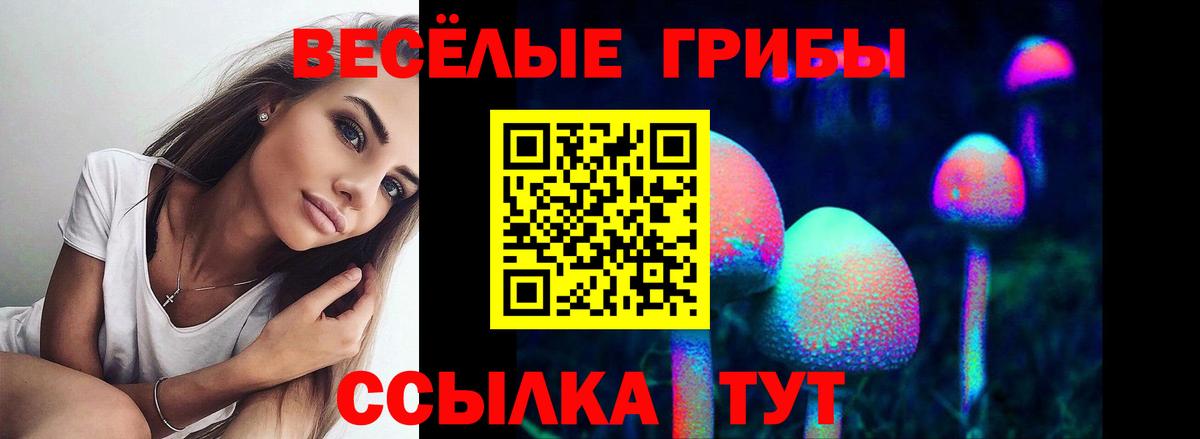 Галлюциногенные грибы GOLDEN TEACHER Нерюнгри
